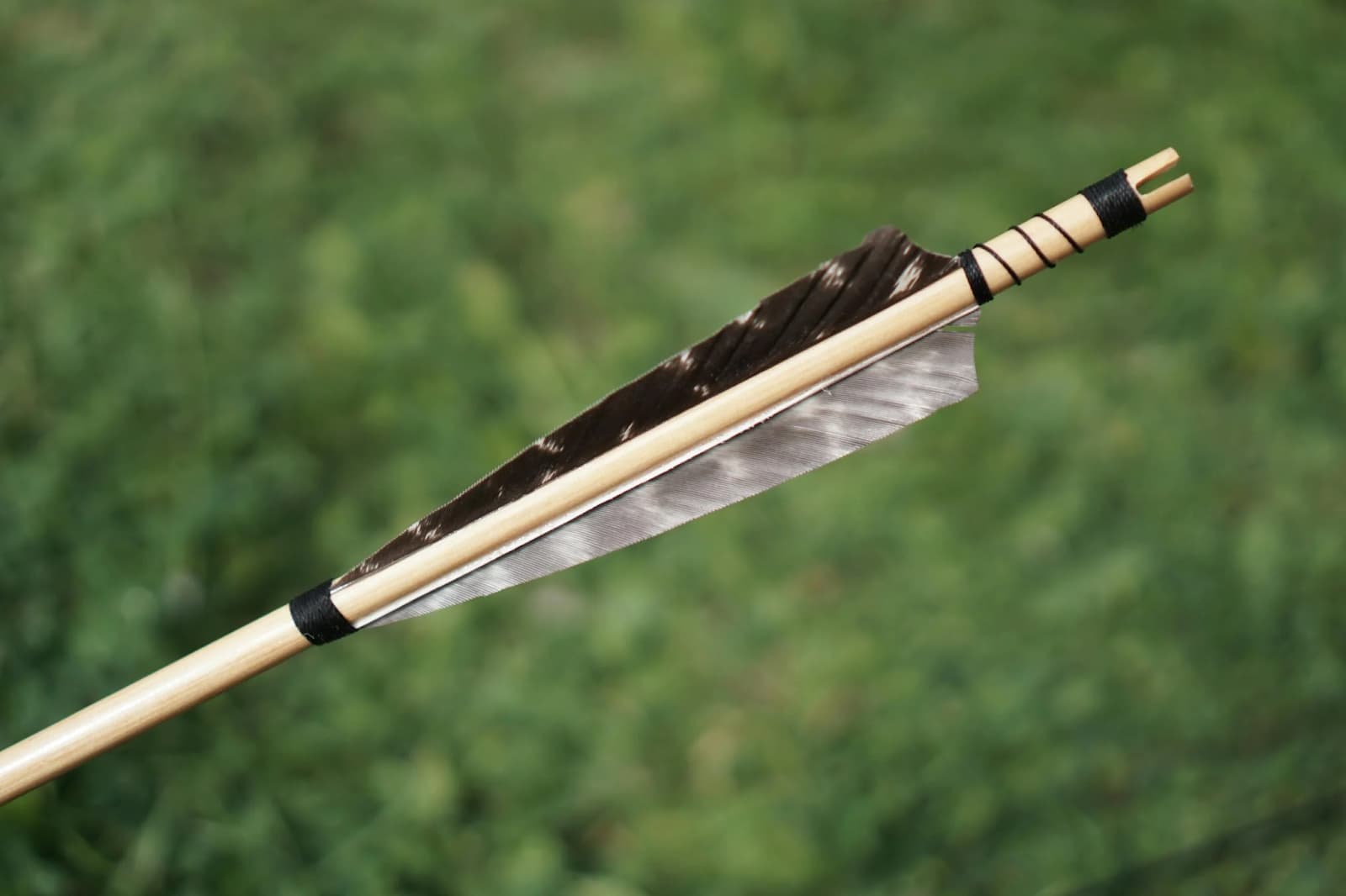 The Different Types of Sport Shooting: A Comprehensive Overview